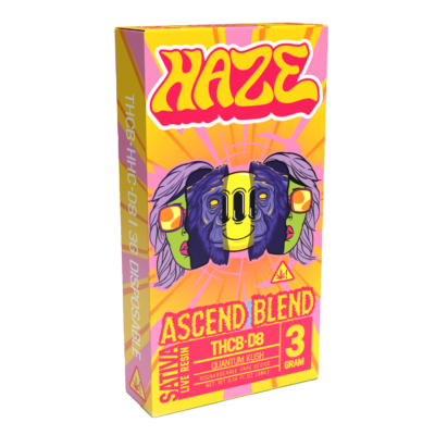 HAZE_AscendBlend_3G_Vape_SmallBox_3DRender__NOHHC_1500px